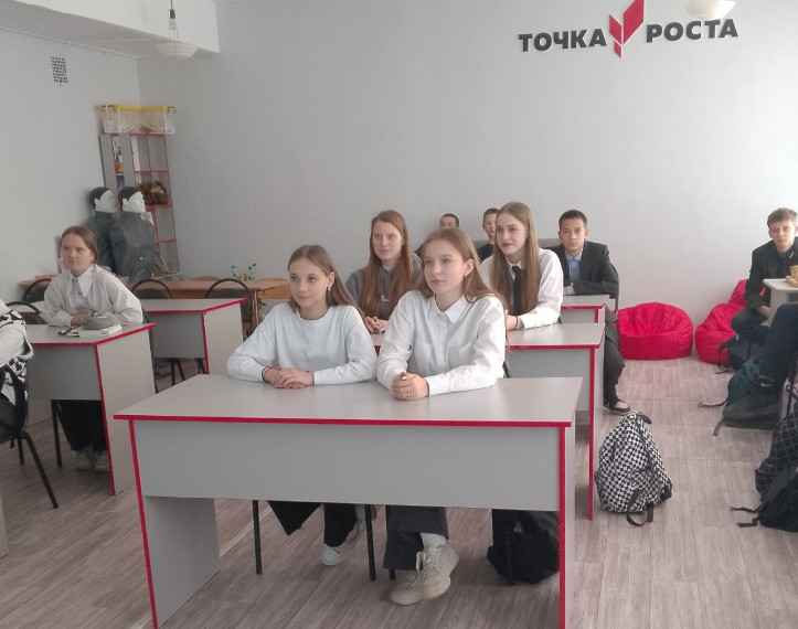 Шоу профессий.